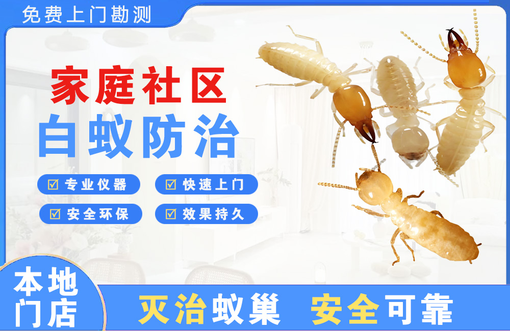贵港家庭社区白蚁防治