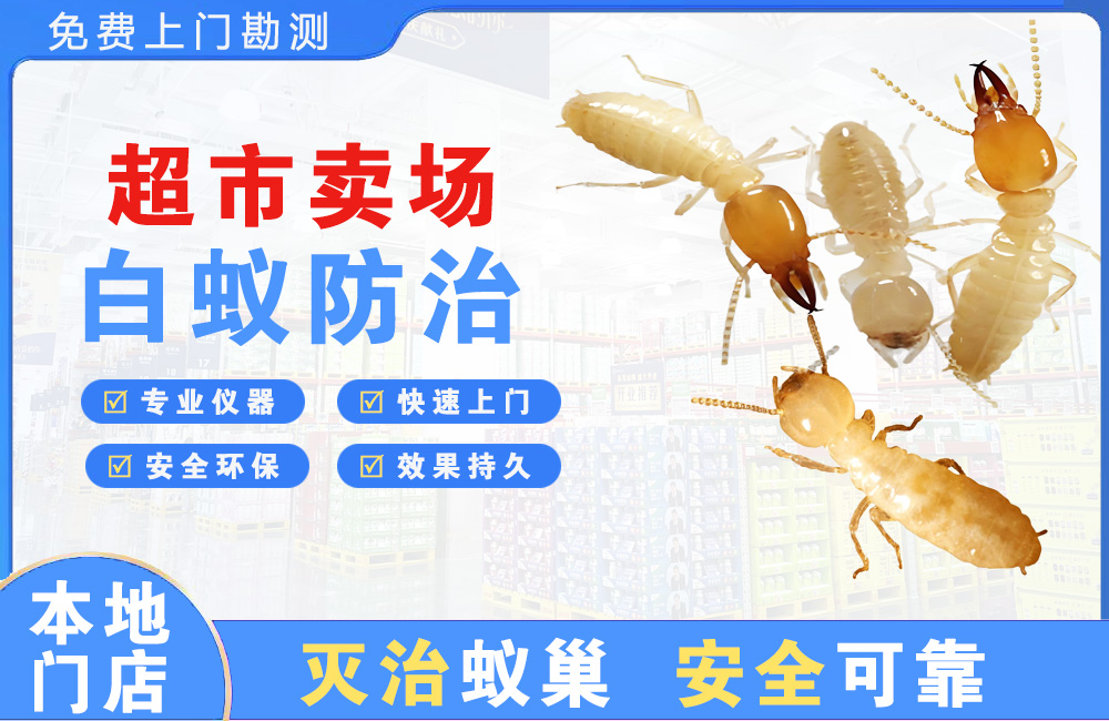 贵港超市卖场白蚁防治