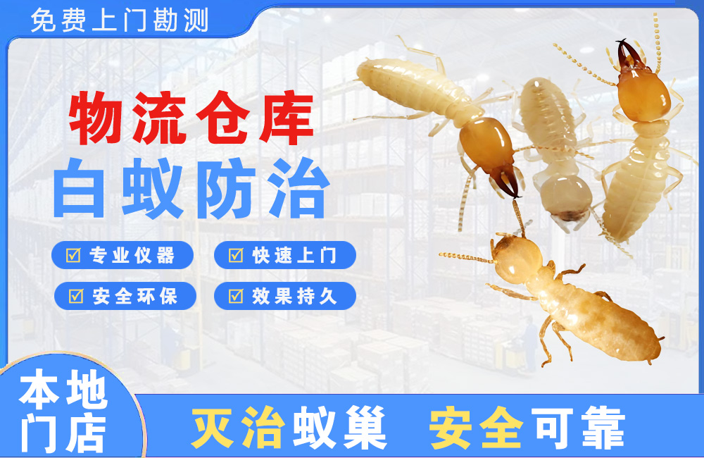 贵港物流仓库白蚁防治