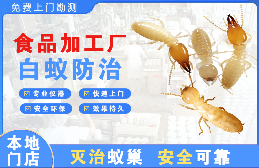 贵港食品加工厂白蚁防治