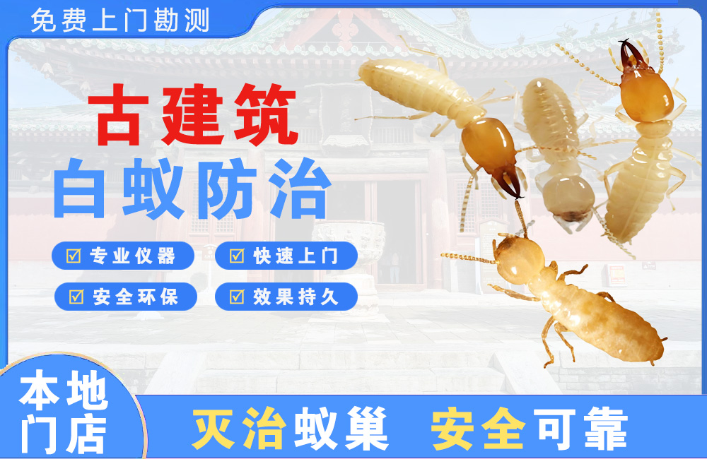 贵港古建筑白蚁防治