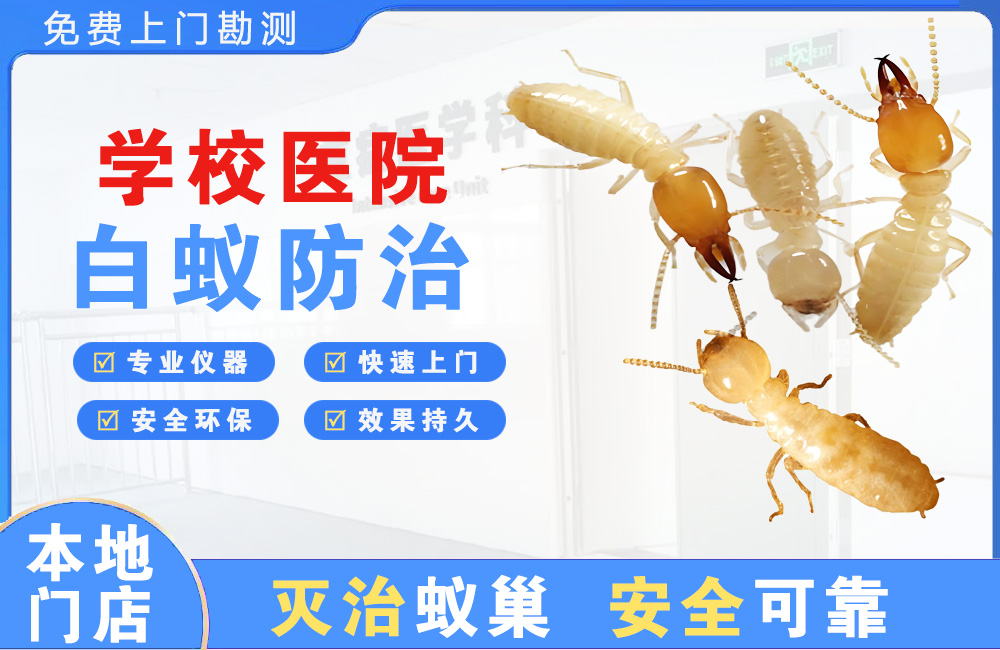 贵港学校医院白蚁防治