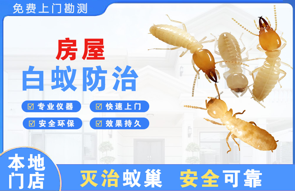 贵港房屋白蚁防治