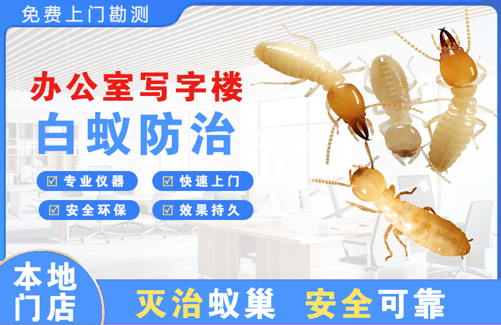 贵港办公室写字楼白蚁防治