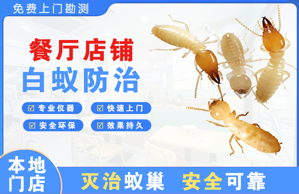 贵港餐厅店铺白蚁防治